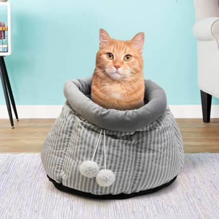 Cat Snugly PET Bed_0