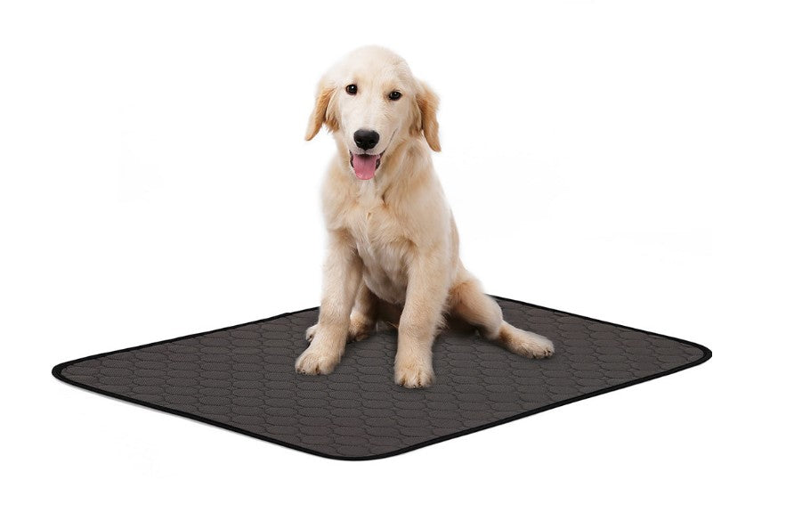 Dog Pee Pads Pet Training Mat_1