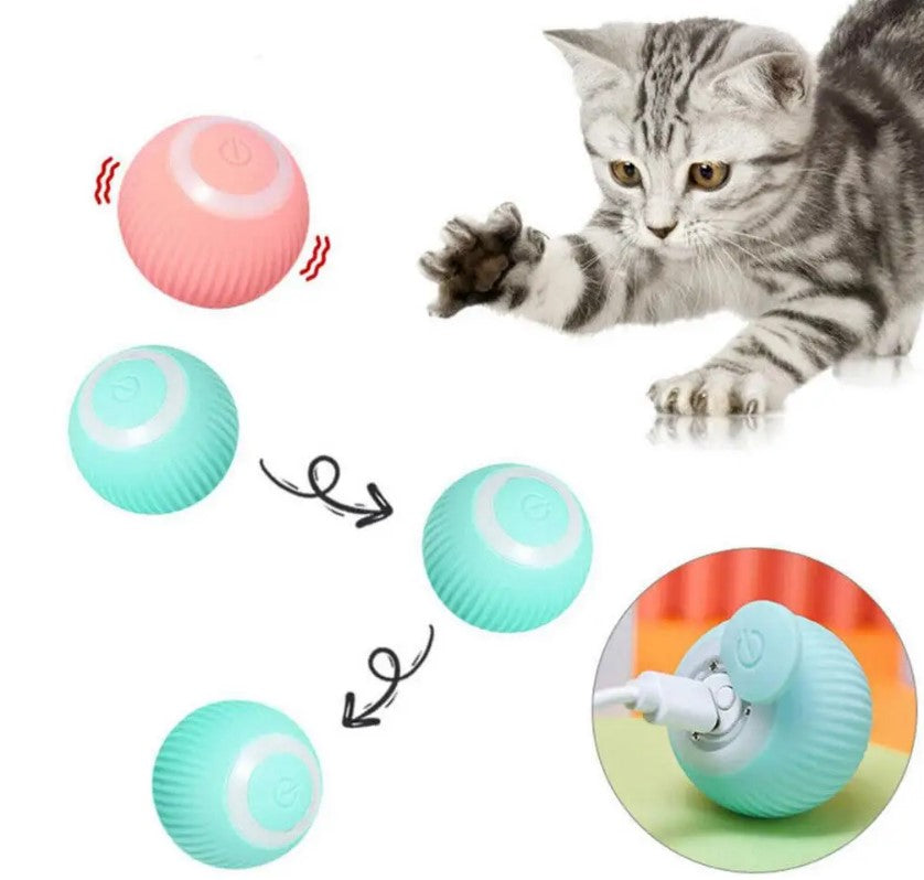 USB Charging Automatic 360 Degree Automatic Pet Rolling Ball For Puppy Cats Kitten - Blue_2