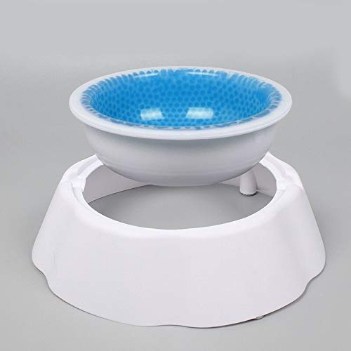 FrostyBowl™ Chilled Pet Water Bowl - Savvy Spot